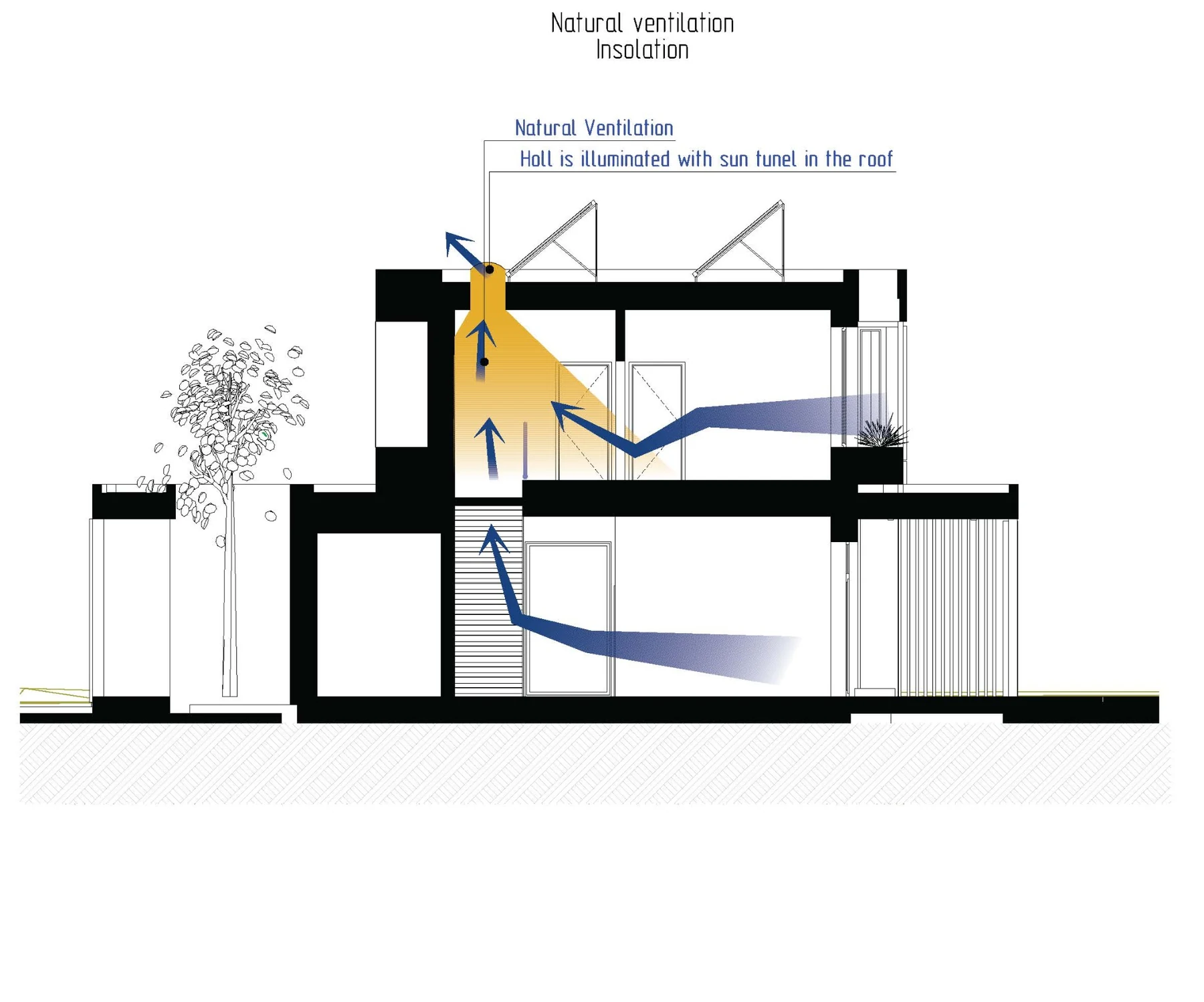 Schema in sezione della ventilazione naturale e della luce diurna per una casa a basso consumo energetico